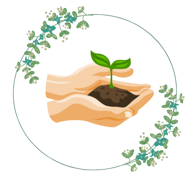 Plant Care Tips