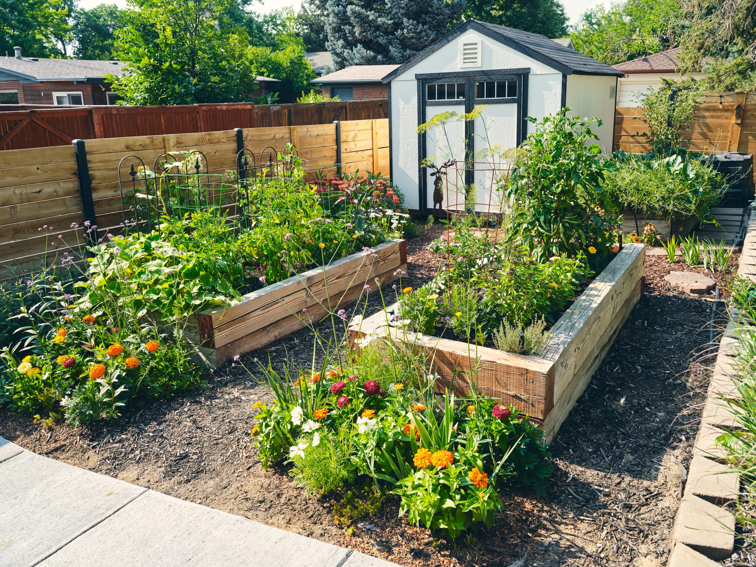 Top 10 Outdoor Plants for a Low-Maintenance Garden